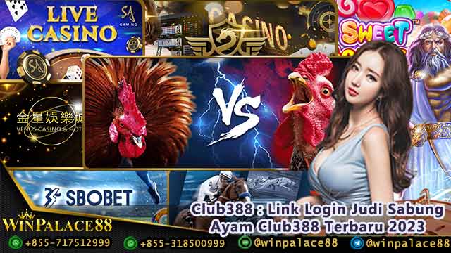 Club388 : Link Login Judi Sabung Ayam Club388 Terbaru 2023