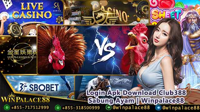 Login Apk Download Club388 Sabung Ayam | Winpalace88